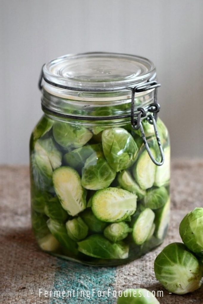 Why you might like fermented Brussel sprouts even if you don't normally enjoy the flavour