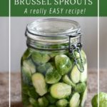 Fermented Brussel sprouts are surprisingly delicious!