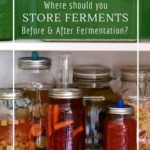 How I store my ferments in my tiny urban home.