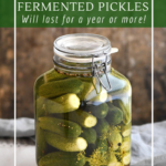 Traditional fermented dill pickles