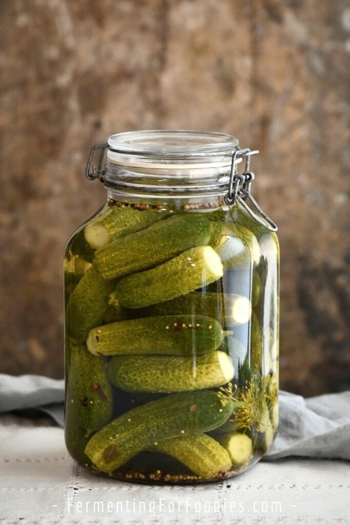 Fido jar of fermented dill pickles