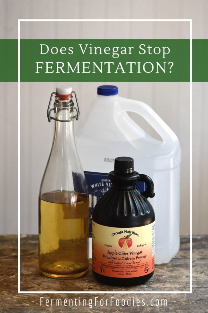 Does vinegar stop fermentation and three reason why you might want to add vinegar to fermented vegetables.