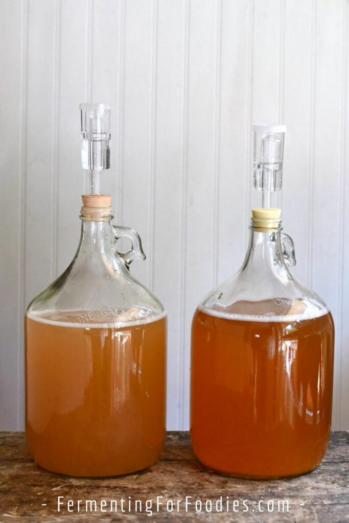 Apple cider and plum wine in carboys
