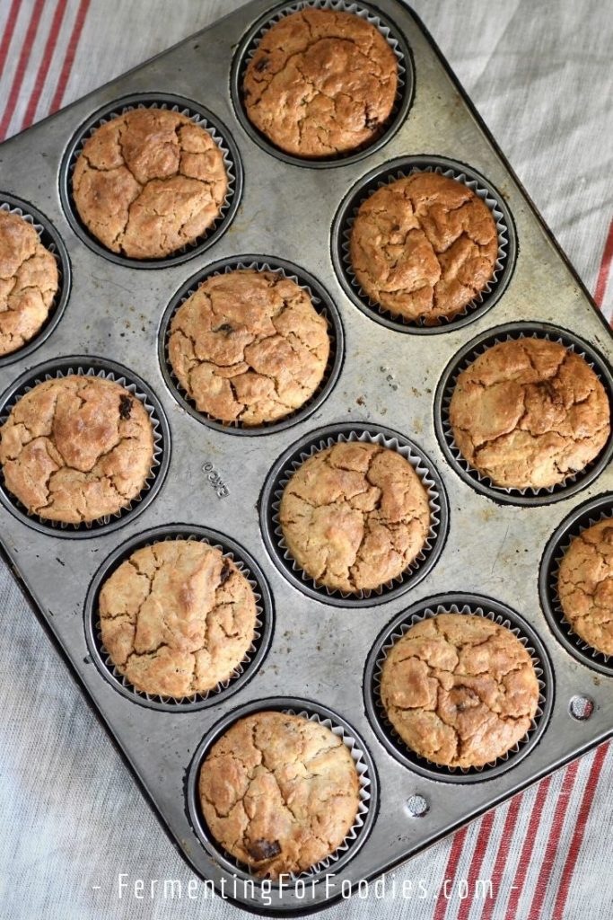 Muffin pan with healthy apple muffins.