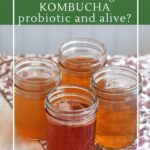 How to know if store-bought kombucha is alive