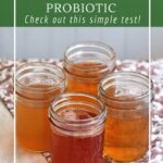 How to test if store-bought kombucha is probiotic