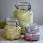Probiotic and salt-free sauerkraut