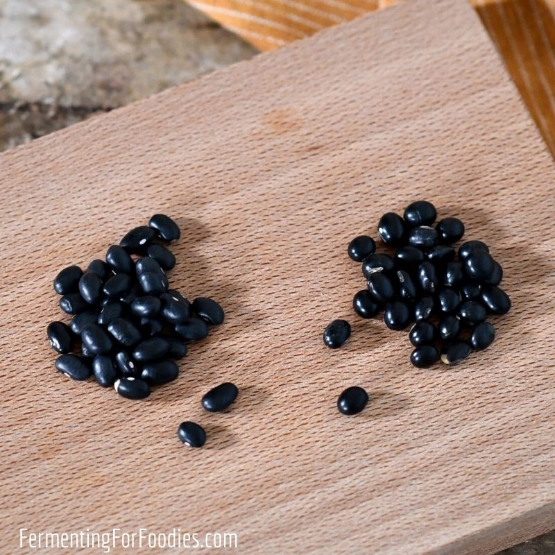 Black beans compared to black soybeans