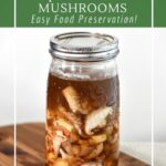 Garlic fermented mushrooms