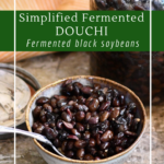 A simplified recipe for douchi