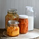 Why fermented foods are a good source of probiotics