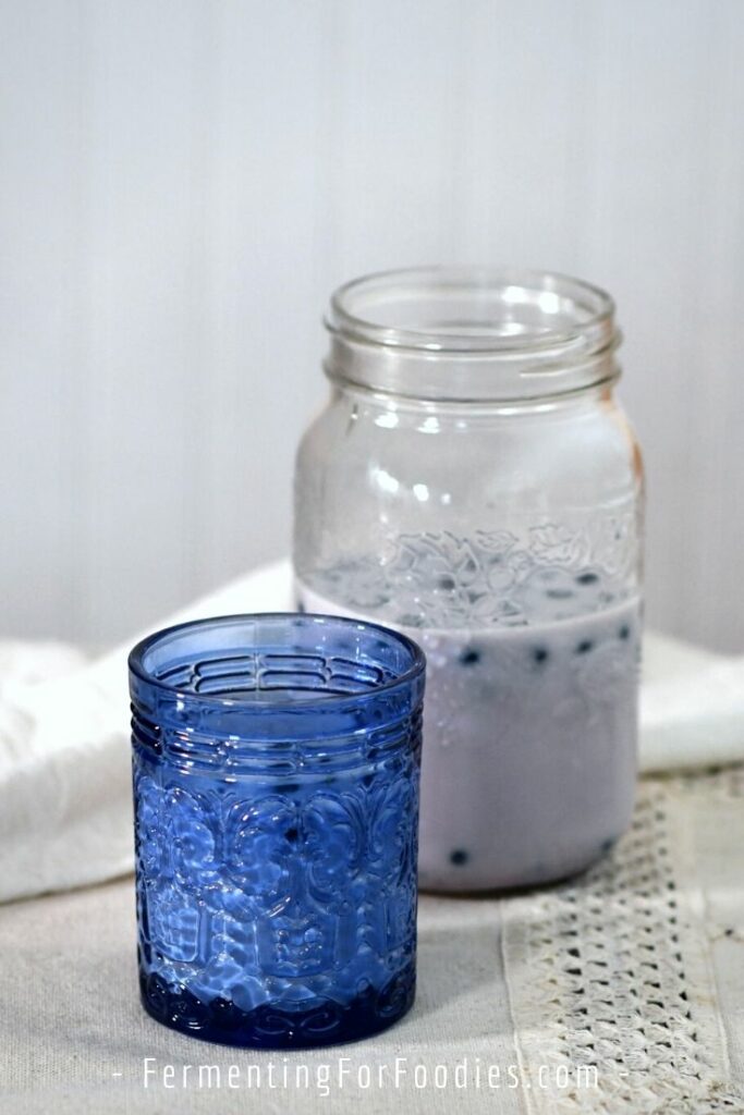 Blueberry milk kefir