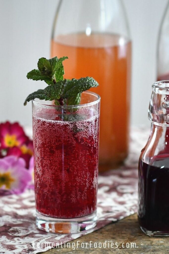 Flavored vinegar infusions