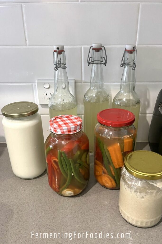 Five different hot weather ferments.