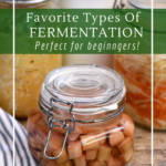 The best fermentation recipes for beginners