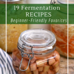 19 Fermentation recipes for beginners