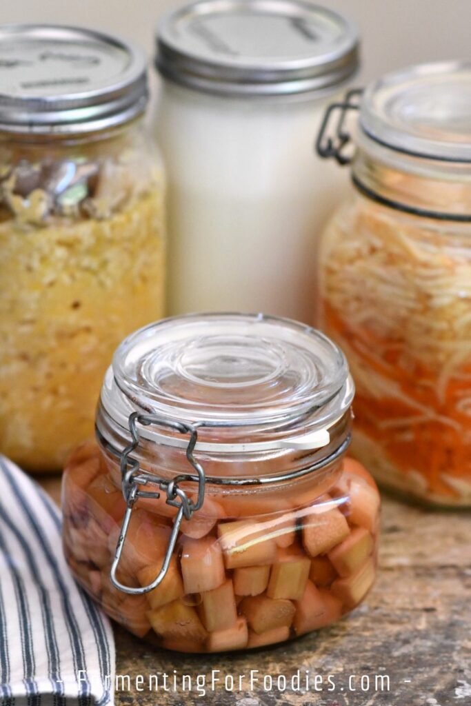 Four types of ferments: fruit, miso, yogurt and vegetables