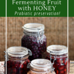 Ferment with honey for fruit and salt-free preservation
