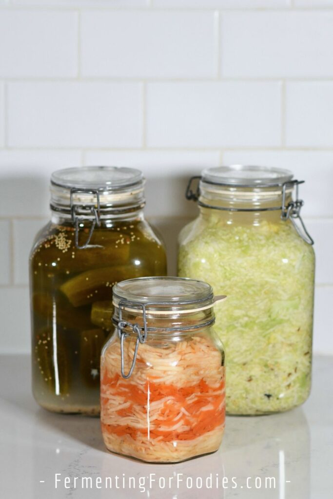 Fermented foods that have been preserved for over 6 months