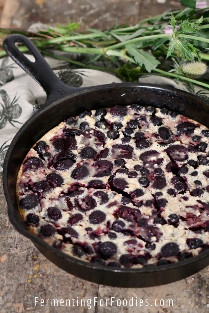 Fermented cherry and blue berry baked into clafoutis